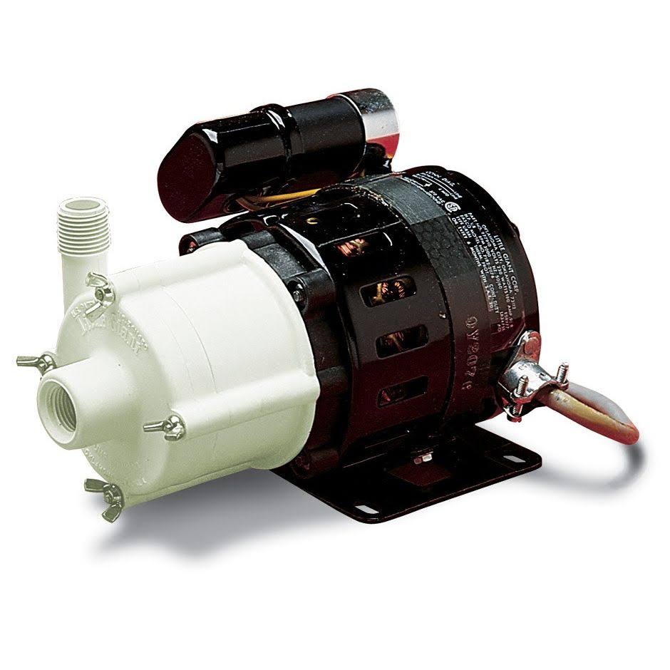Magnetic Drive Pump 230V 6ft 50/60Hz E341874