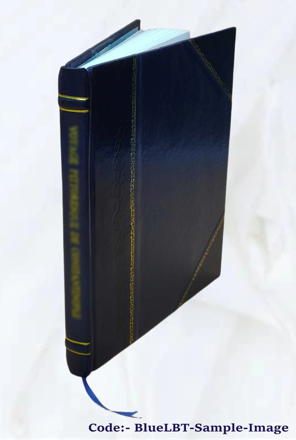 Prospectus and reports of the Bushell and Saint Louis Gold and Silver Mining Companies, Toltec Syndicate of Mines, Aztec and Tyndall Districts, Arizona X28212
