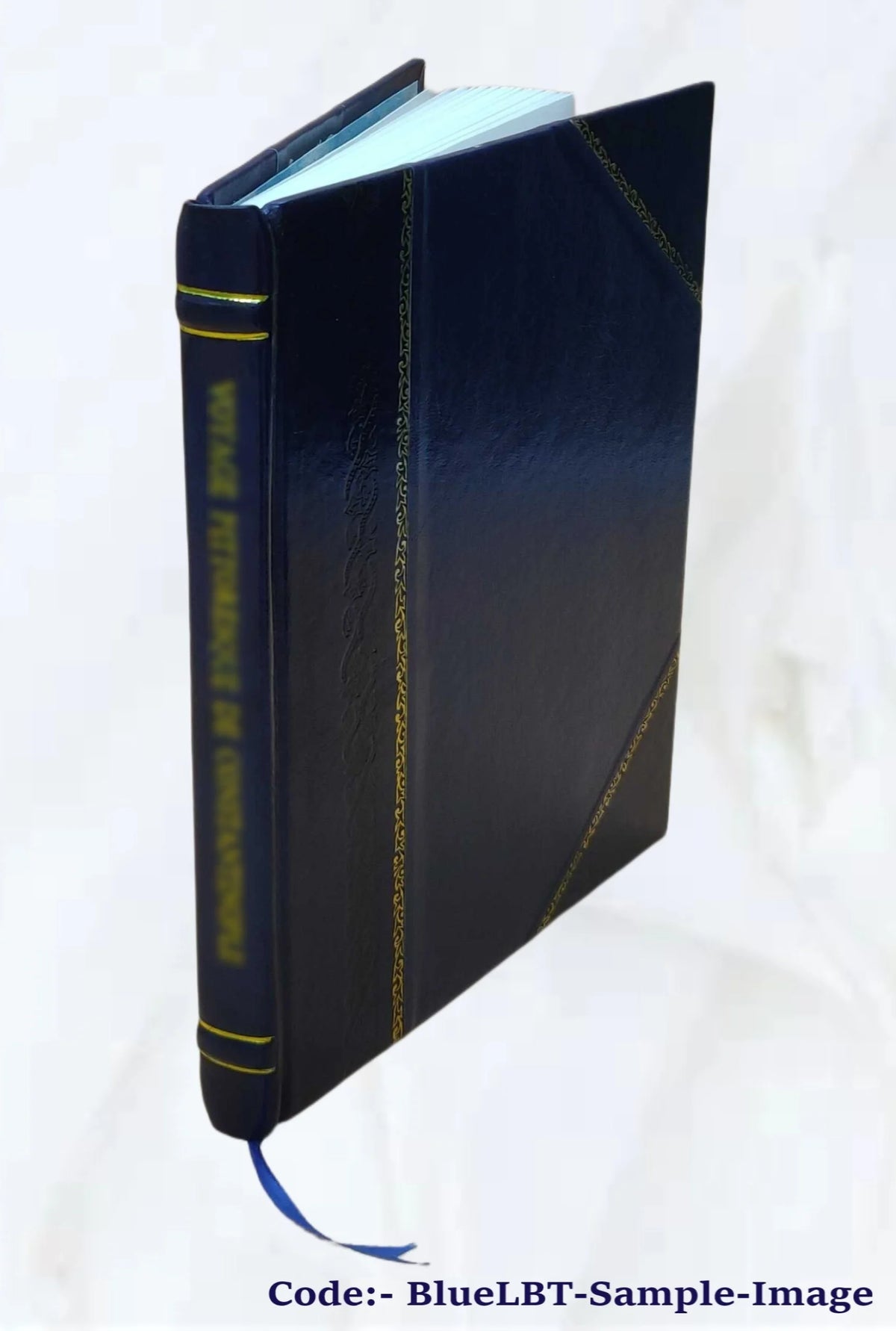 Prospectus and reports of the Bushell and Saint Louis Gold and Silver Mining Companies, Toltec Syndicate of Mines, Aztec and Tyndall Districts, Arizona X28212