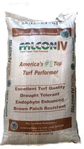 10 lbs. Turf Type Tall Fescue C651