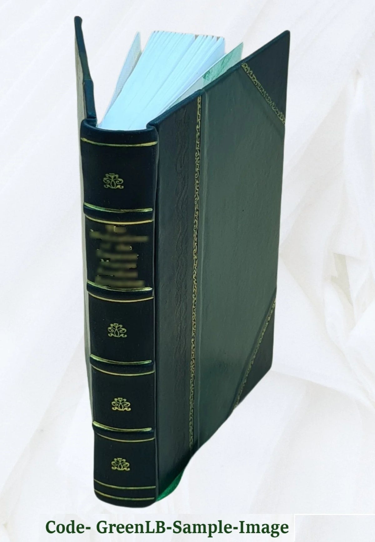 Leather Bound Book X79724