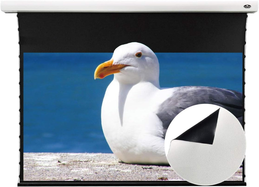 Slimline Motorized Tension Pull Down Screen Projector Perforated Transparent Acoustically White Cinema K5728