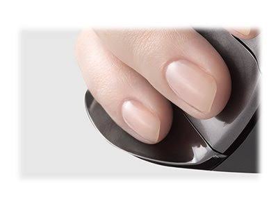 Wireless Mouse (Large) S1497
