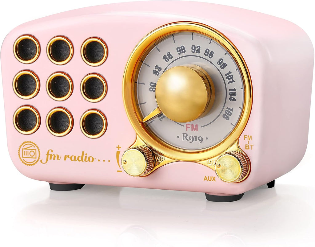 Retro Bluetooth Speaker with FM Radio (Pink) N713