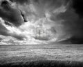 Summer Storm Giclee Canvas F579