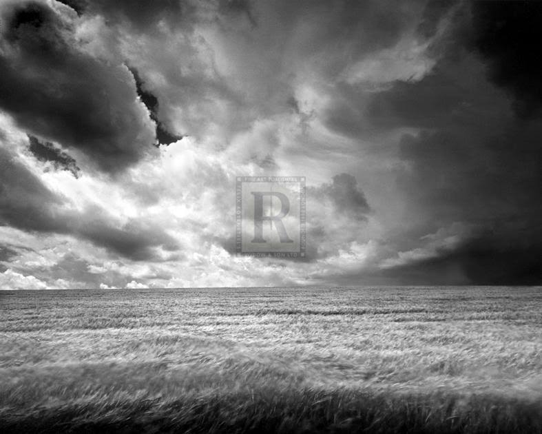 Summer Storm Giclee Canvas F579