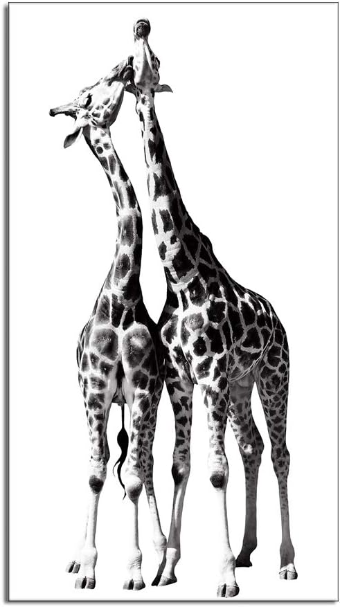Black and White Giraffe Canvas Prints Gallery Wrapped Painting 20 x 36 Inch T229