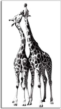 Black and White Giraffe Canvas Prints Gallery Wrapped Painting 20 x 36 Inch T229