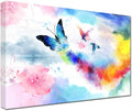 Colorful Butterfly Framed Canvas Wall Art (16'' x 24'') O116