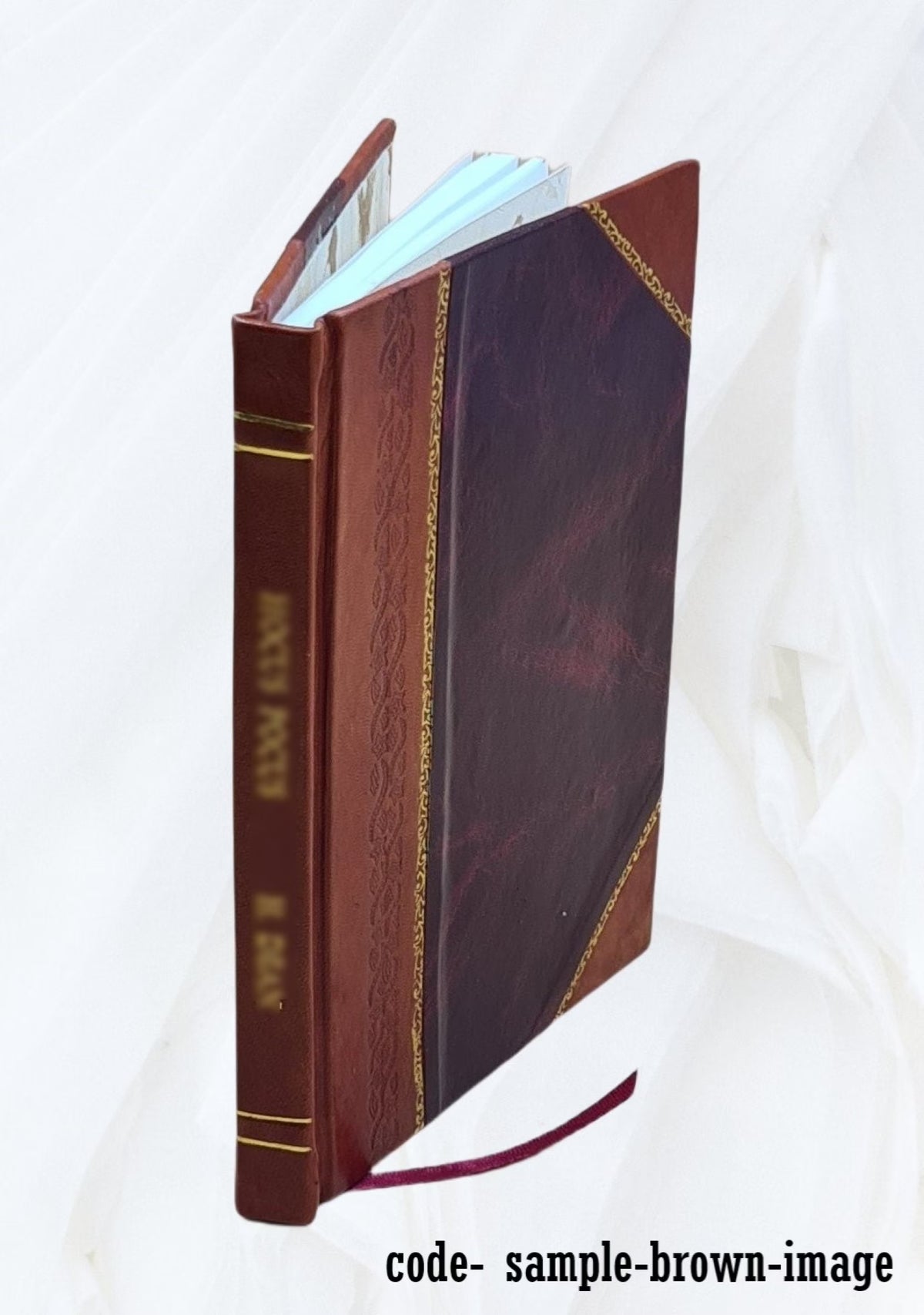 Prospectus and reports of the Bushell and Saint Louis Gold and Silver Mining Companies, Toltec Syndicate of Mines, Aztec and Tyndall Districts, Arizona X28212