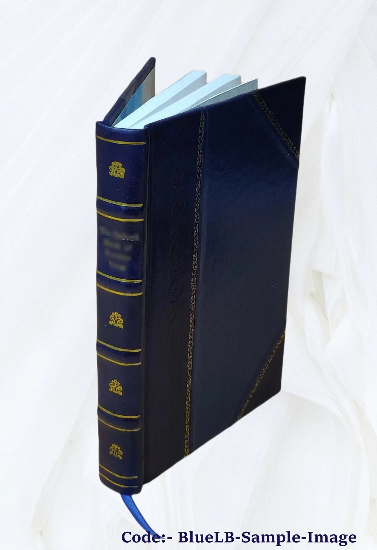 Leather Bound Book B562545