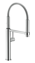 Polished Chrome Kitchen Faucet V780229