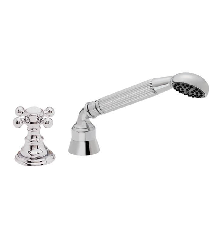Polished Brass Handshower and Diverter Trim B486