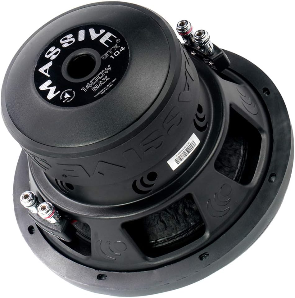 10 Inch 700 Watt RMS Dual 2 Ohm Car Audio Subwoofer Z397