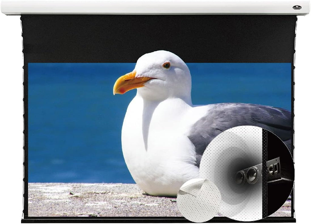 Slimline Motorized Tension Pull Down Screen Projector Perforated Transparent Acoustically White Cinema K5728