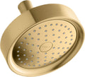 Vibrant Brushed Moderne Brass Showerhead H56174