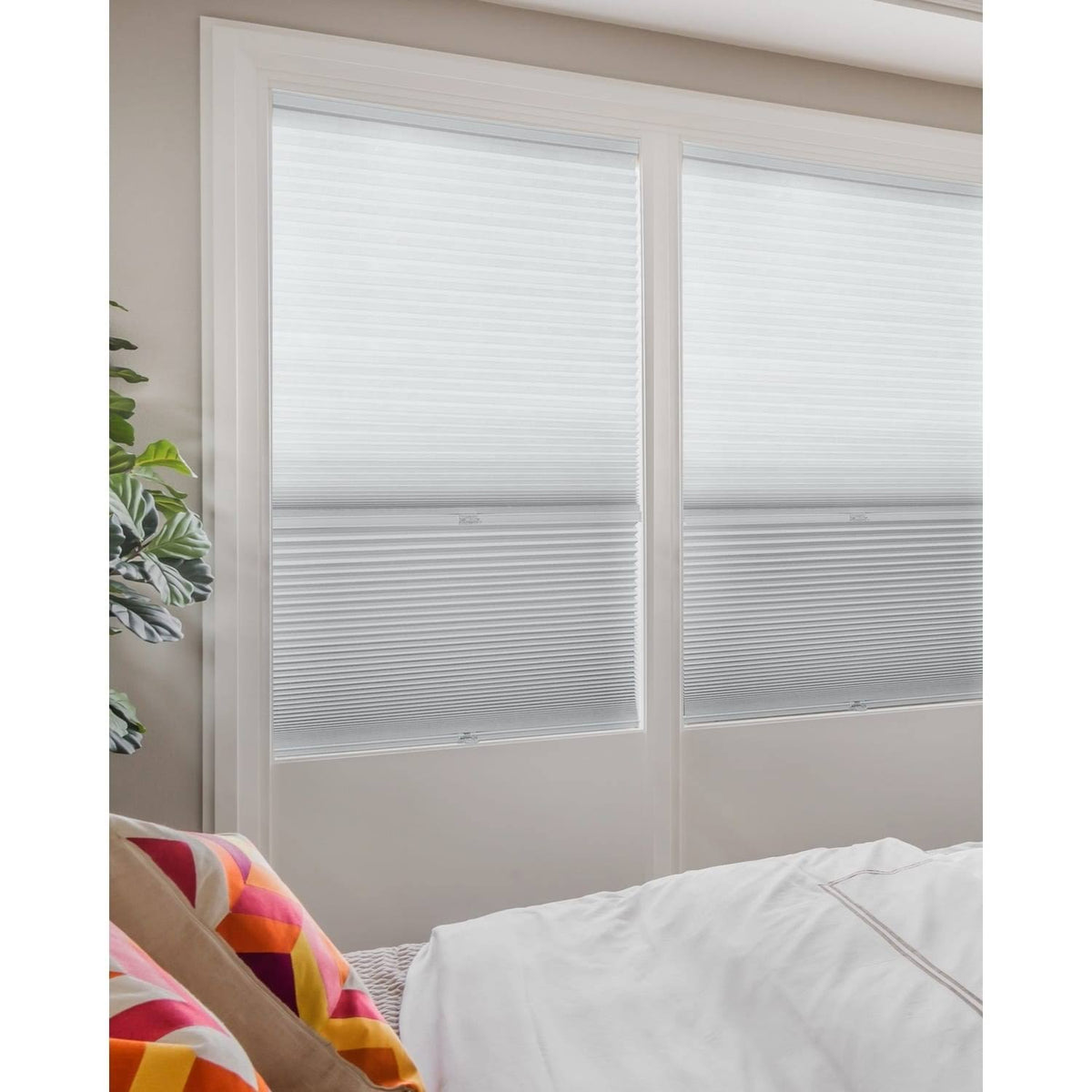 Cordless Cellular Shades N56432