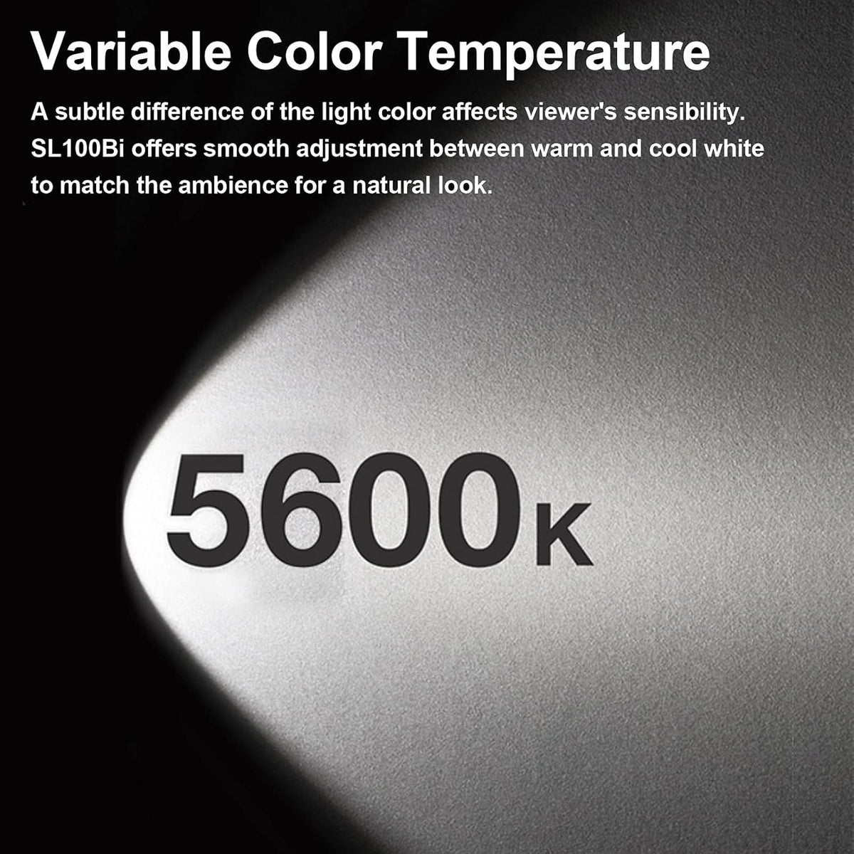 100W 5600K LED Video Light Q871084