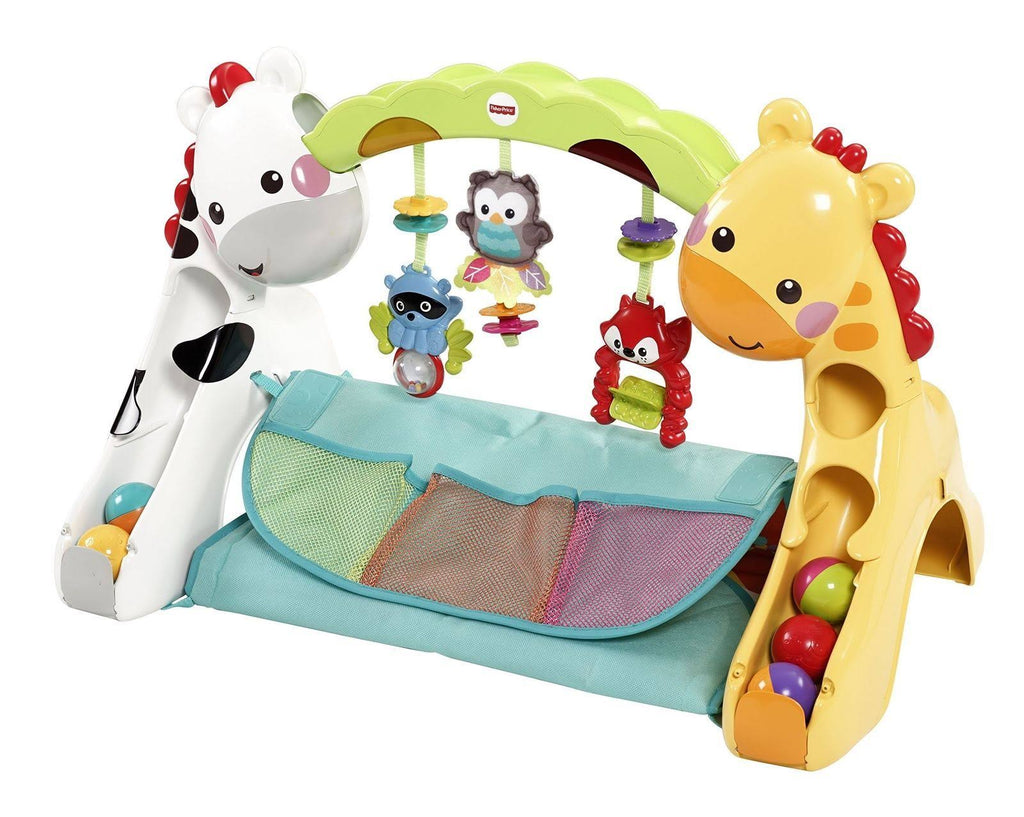 Newborn-to-Toddler Play Gym V50288