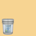 Interior Paint (5-Gallon) T70076