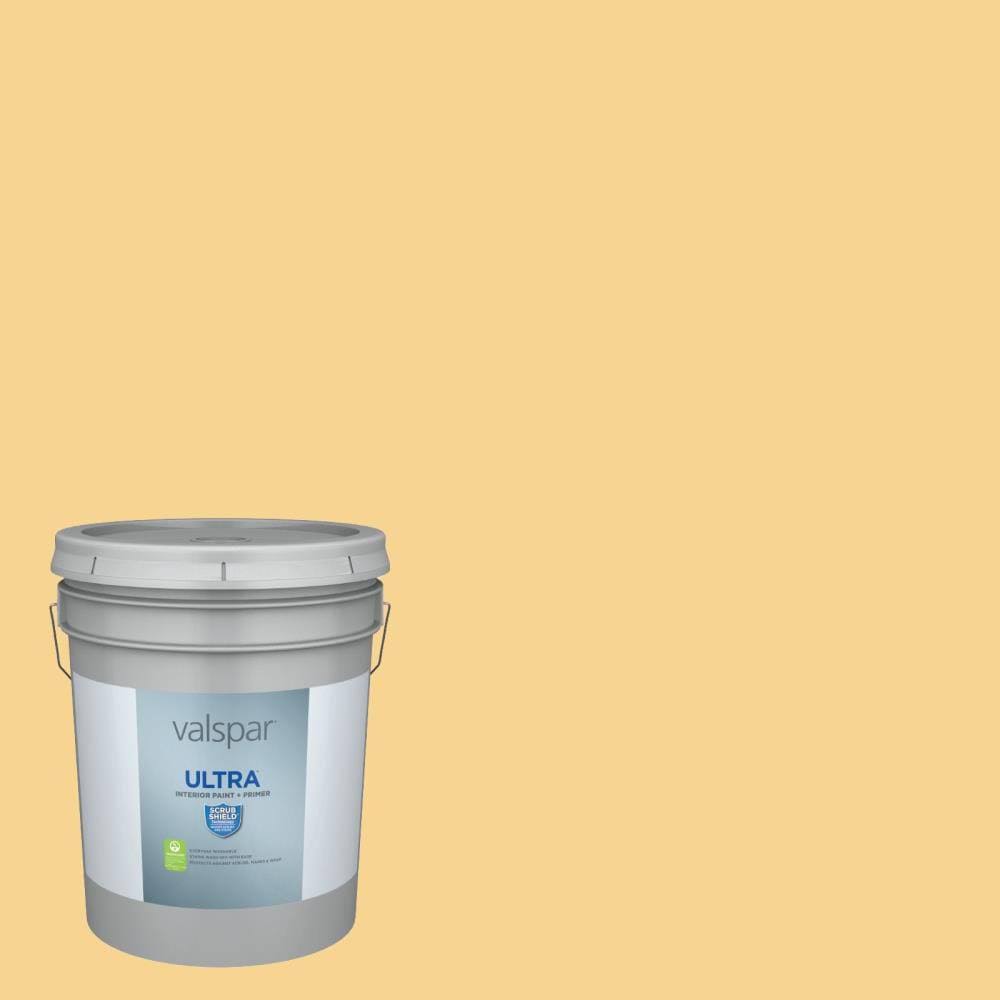 Interior Paint (5-Gallon) T70076
