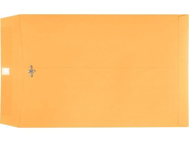 10 x 15 Clasp Envelopes 250/Pack 28lb Brown Kraft L884