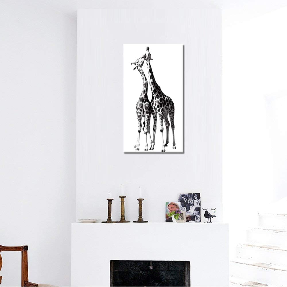 Black and White Giraffe Canvas Prints Gallery Wrapped Painting 20 x 36 Inch T229