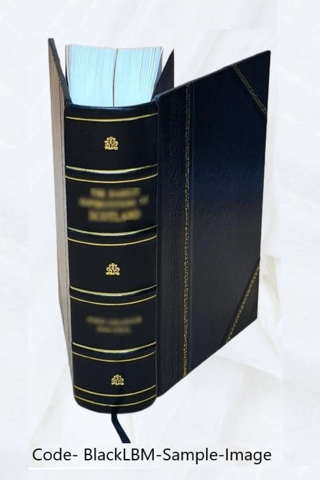 Leather Bound Book J47168