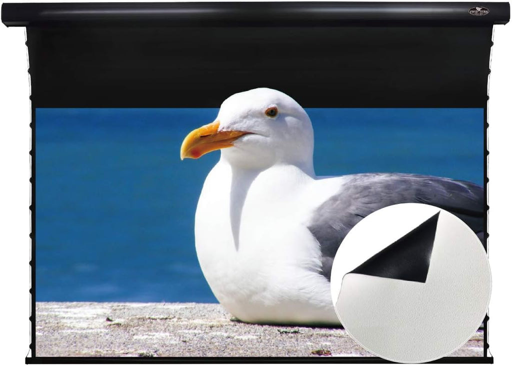 Slimline Motorized Tension Pull Down Screen Projector Perforated Transparent Acoustically White Cinema K5728