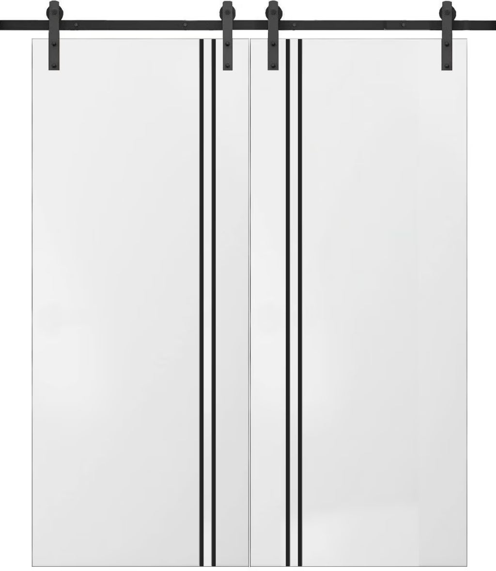 Double Barn Door 36 x 80 inches with Frosted Glass Y215487