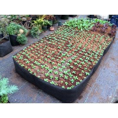 Raised Garden Bed, 4 x 8-ft. x 11.5-In. B294