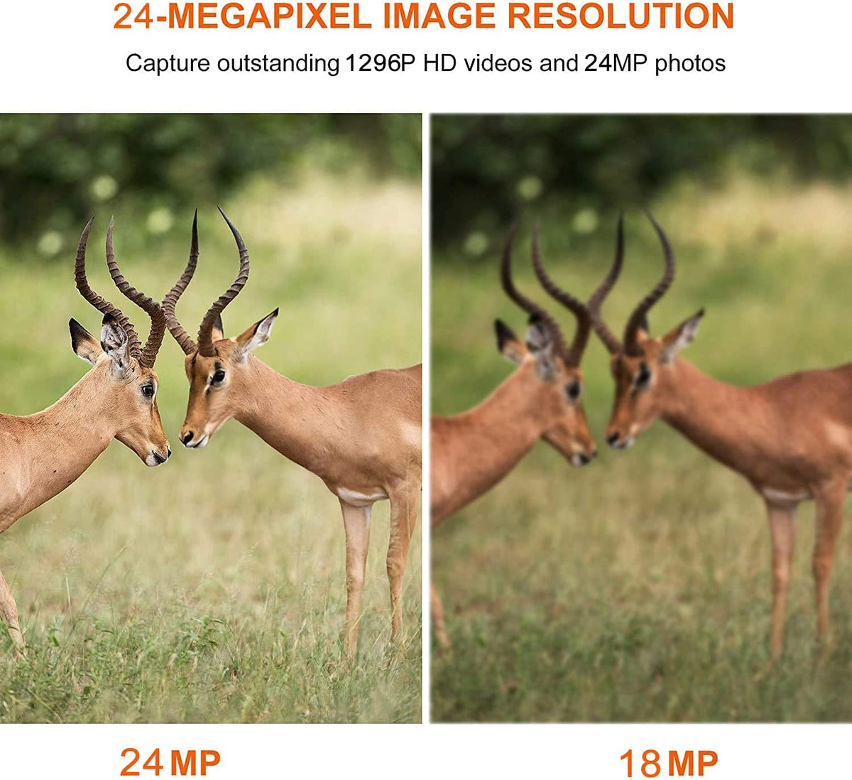 5-Pack No Glow Game Deer Trail Cameras Night Vision 24MP Photo 1296P H.264 MP4 Video Motion Activated Waterproof Time Lapse Photo & Video A34331