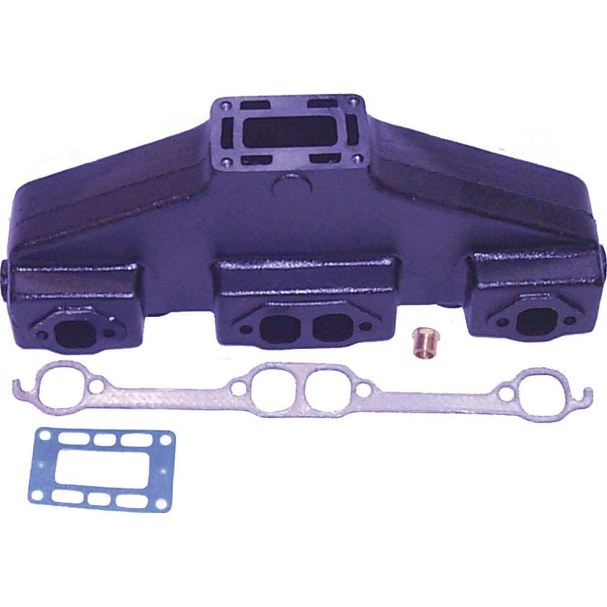 Manifold S71599