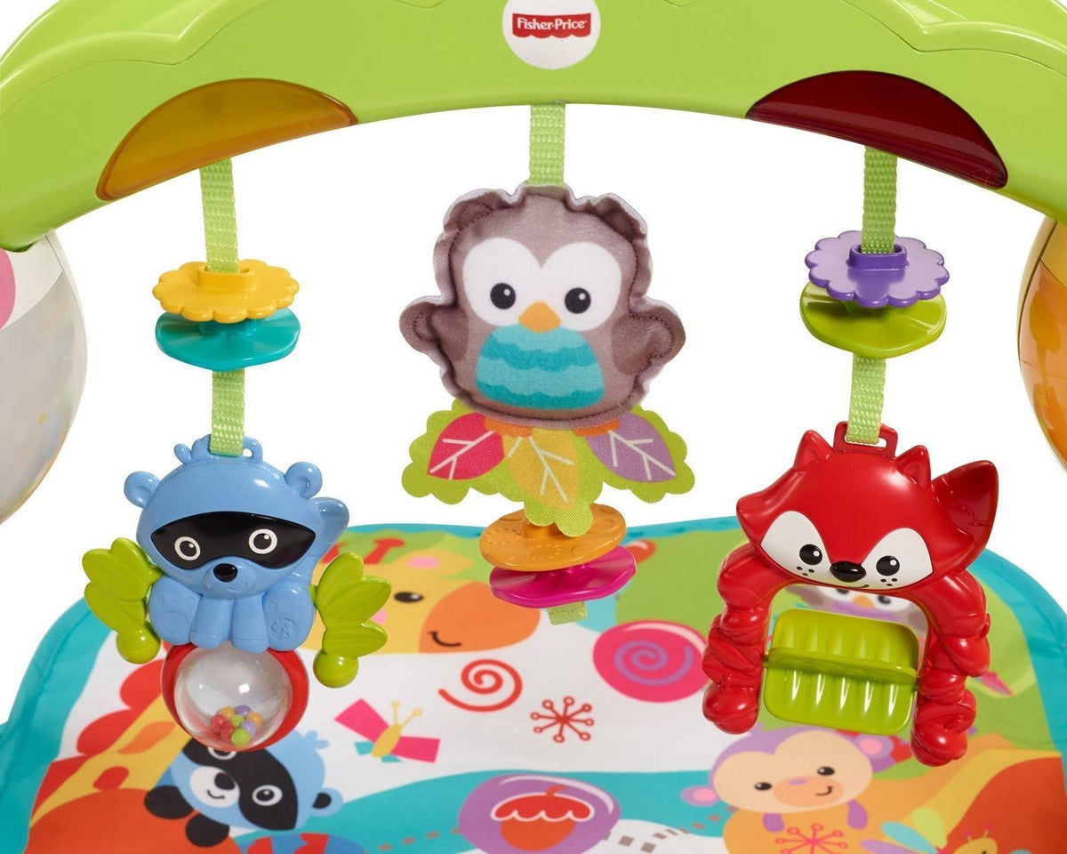 Newborn-to-Toddler Play Gym V50288