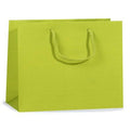 Solid Lime Matte Gift Bags with Cardboard Bottom Inserts and Cord Handles T440186