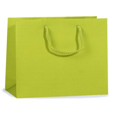 Solid Lime Matte Gift Bags with Cardboard Bottom Inserts and Cord Handles T440186