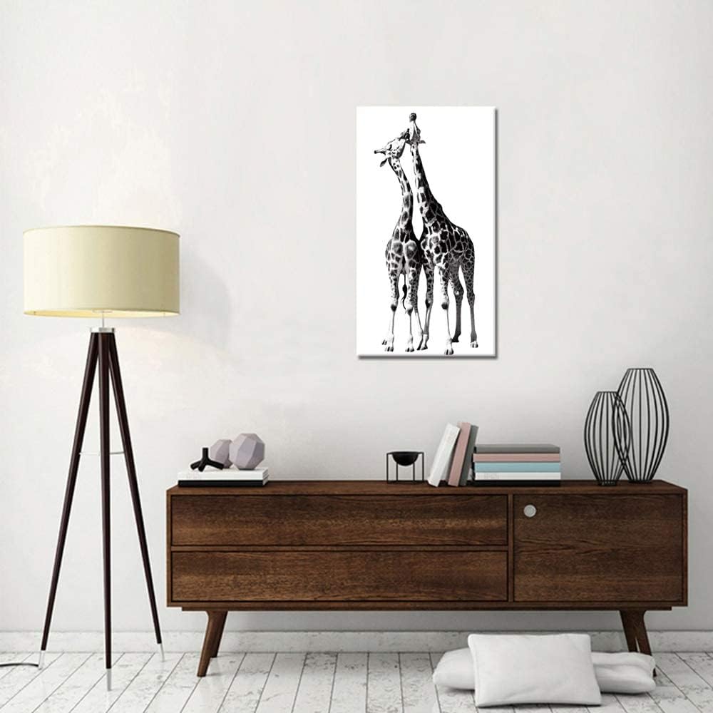 Black and White Giraffe Canvas Prints Gallery Wrapped Painting 20 x 36 Inch T229