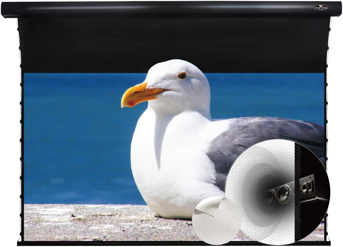 Slimline Motorized Tension Pull Down Screen Projector Perforated Transparent Acoustically White Cinema K5728